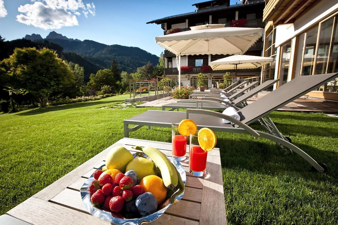Parkhotel Ladinia San Vito di Cadore Hotell