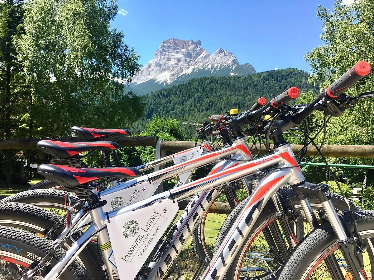 Parkhotel Ladinia San Vito di Cadore